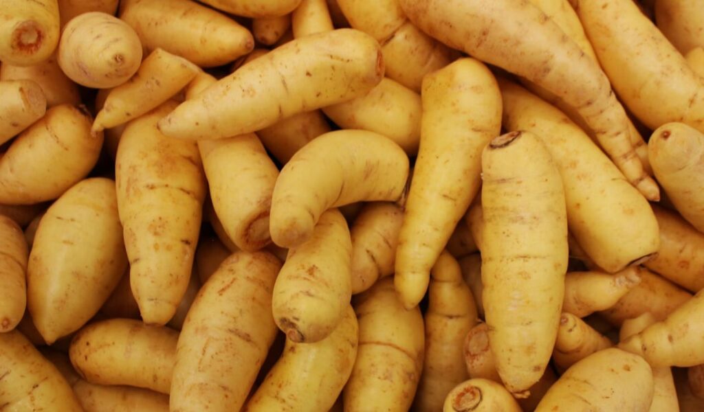Parsnips