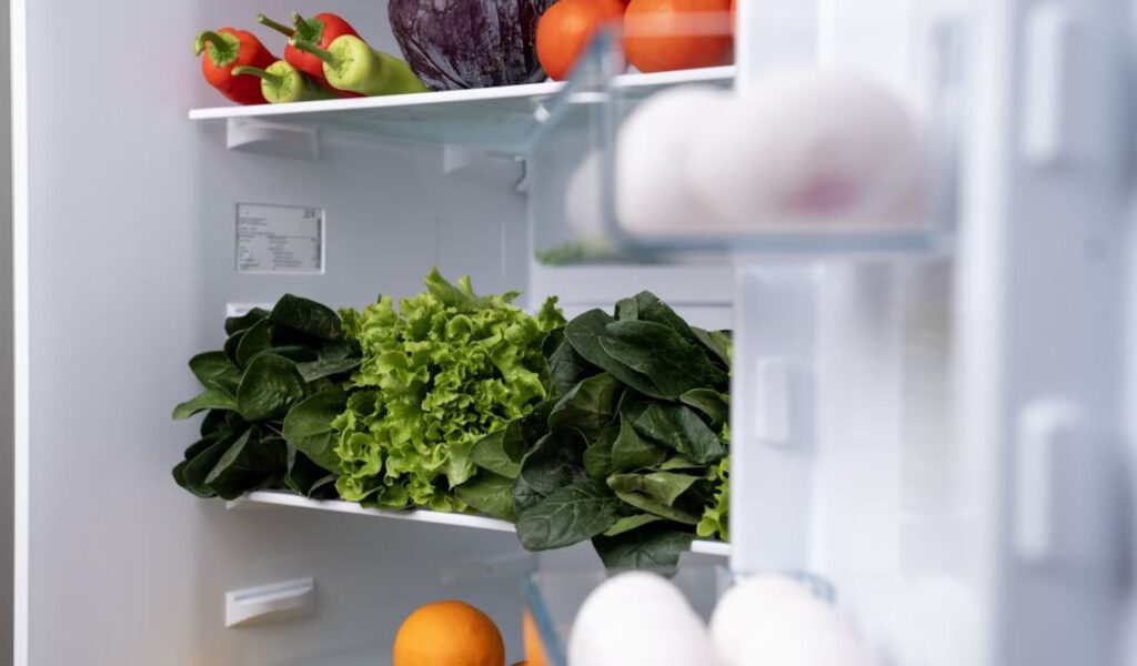 Refrigerator filled with fresh fruits and vegetables