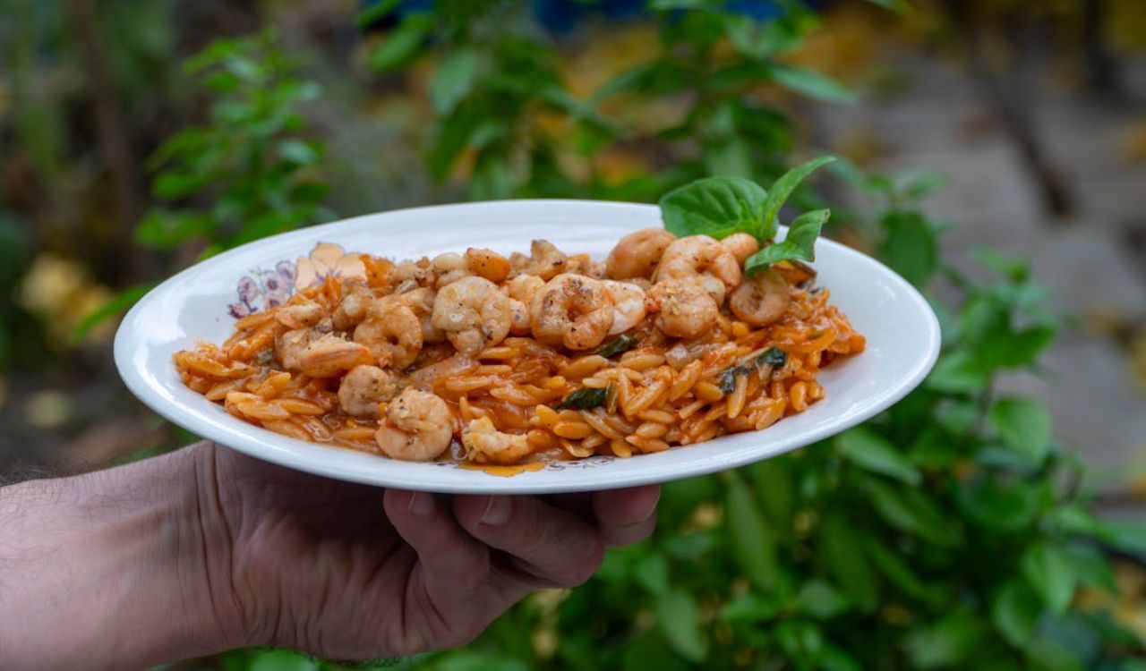 Shrimp and orzo dish