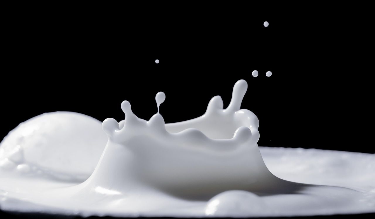 Milk