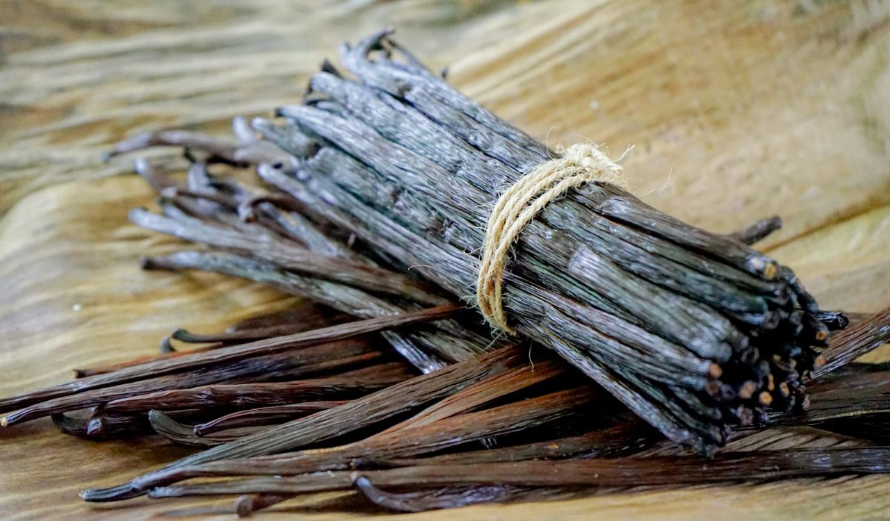 Vanilla