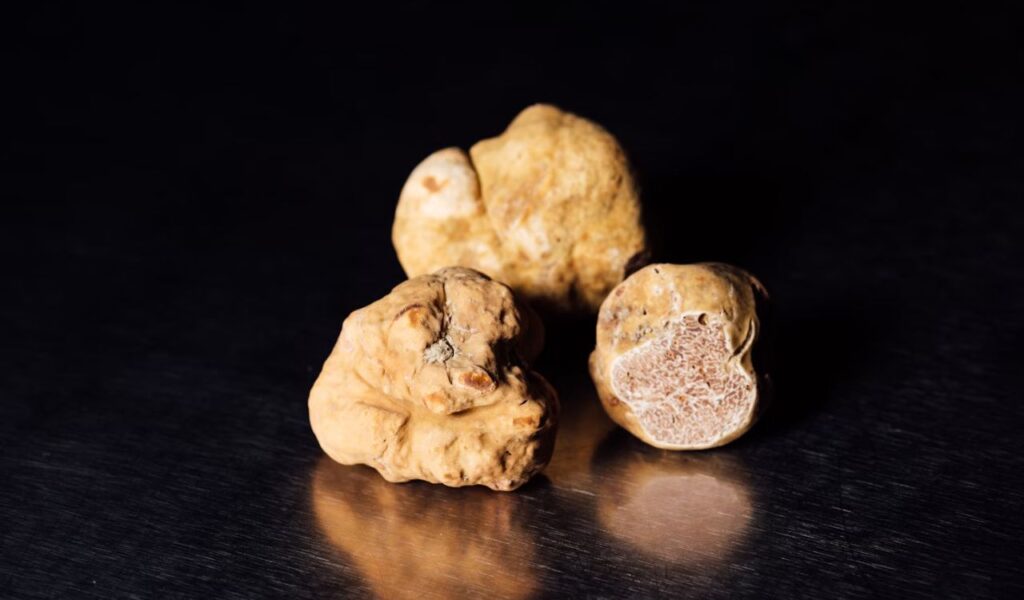 White truffles