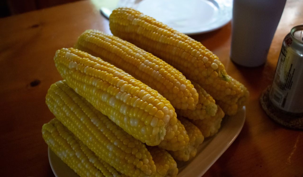 Corn on the cob