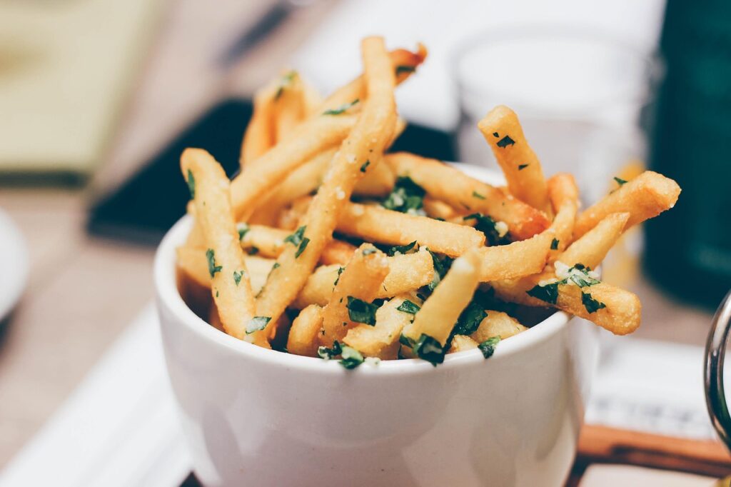 Appetizer Fries