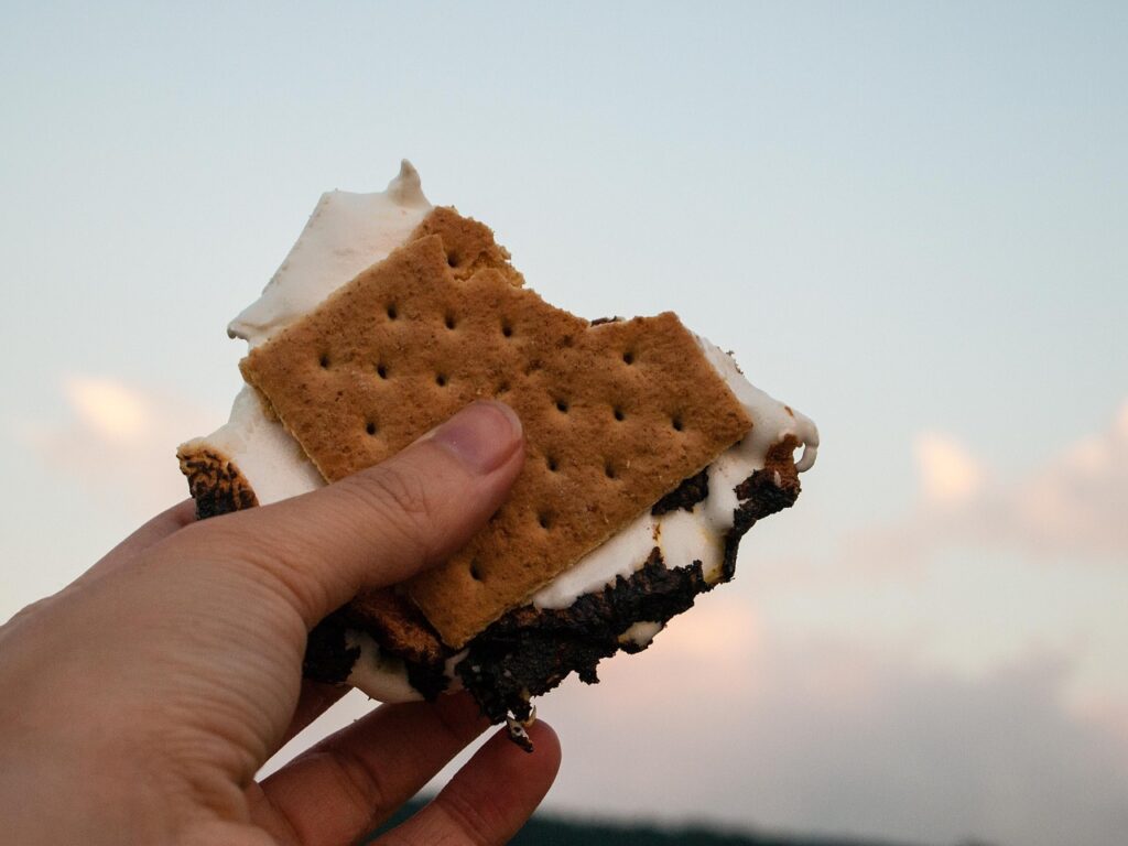Gooey S’mores