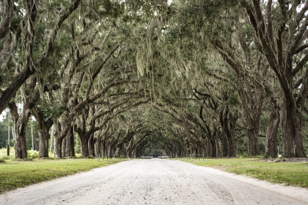 Savannah, Georgia