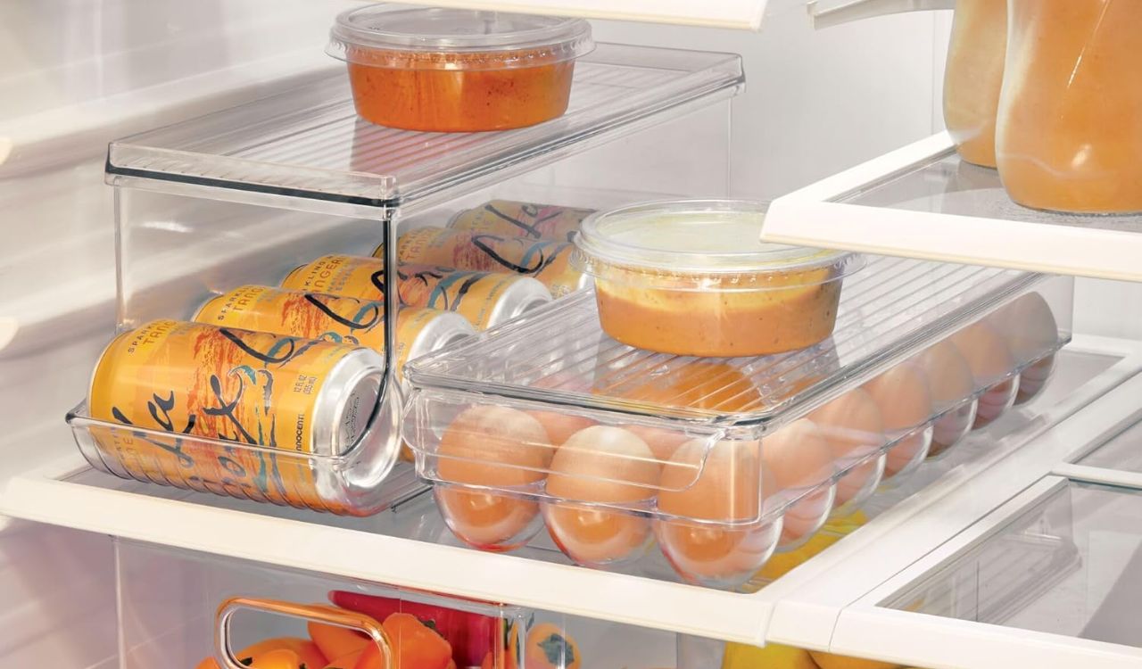 iDesign Plastic Egg Holder with Lid and Handle