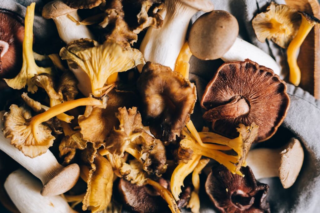 Wild Foraged Mushrooms