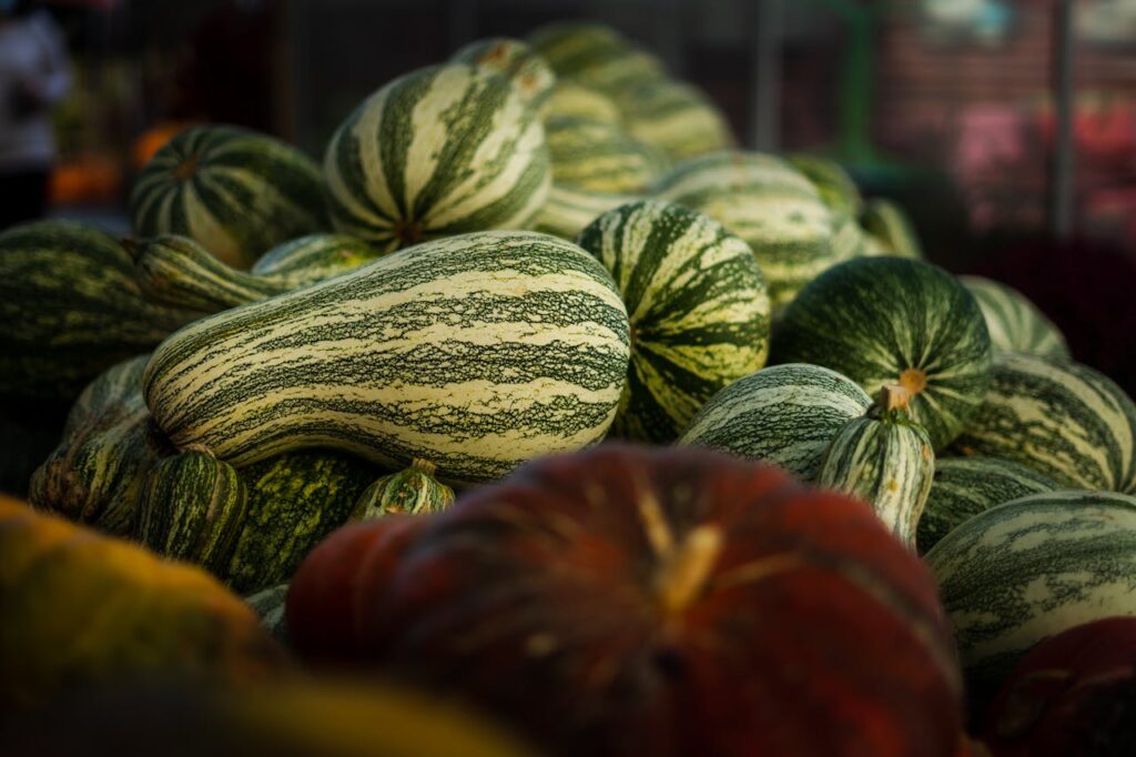 Green Striped Cushaw Pumpkin