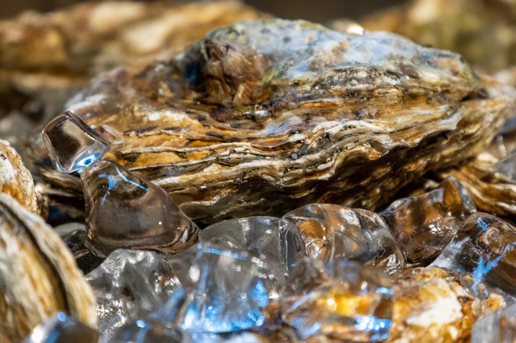 Raw Oysters