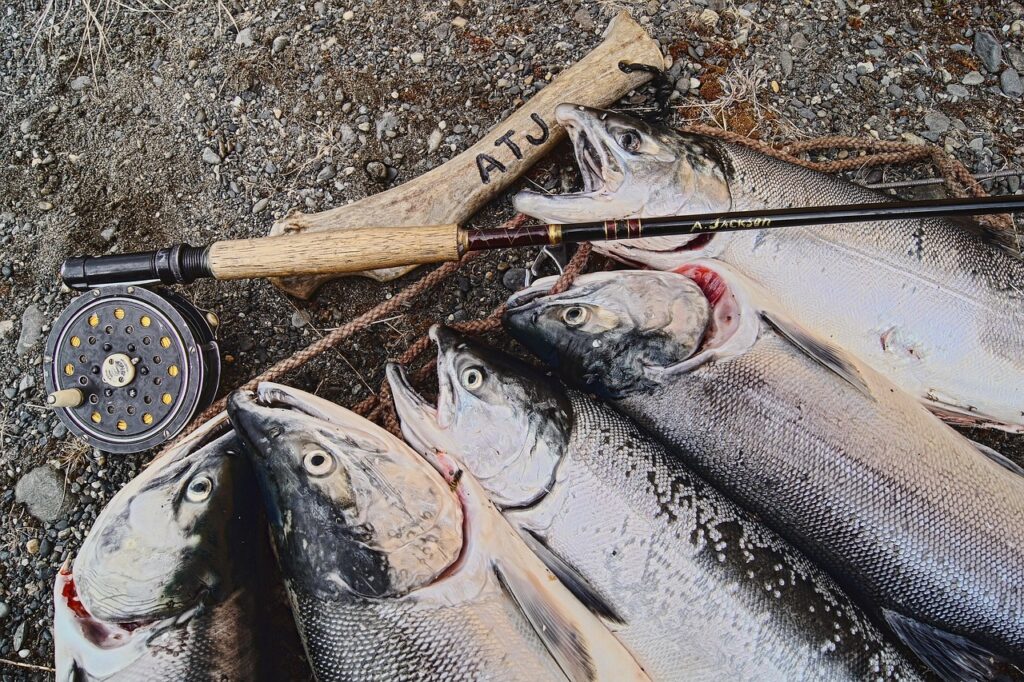 Wild Alaskan Salmon