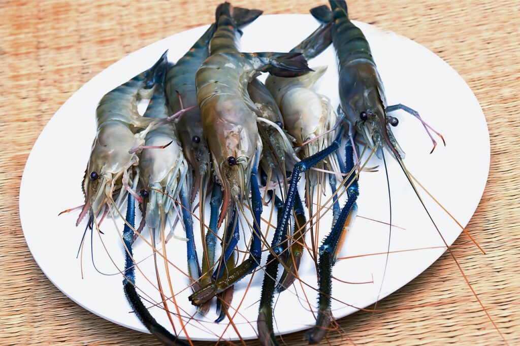 Choosing the Right Shrimp