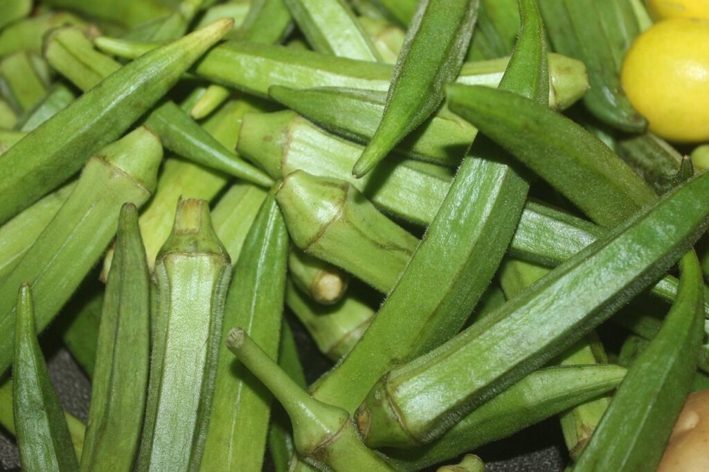 Okra