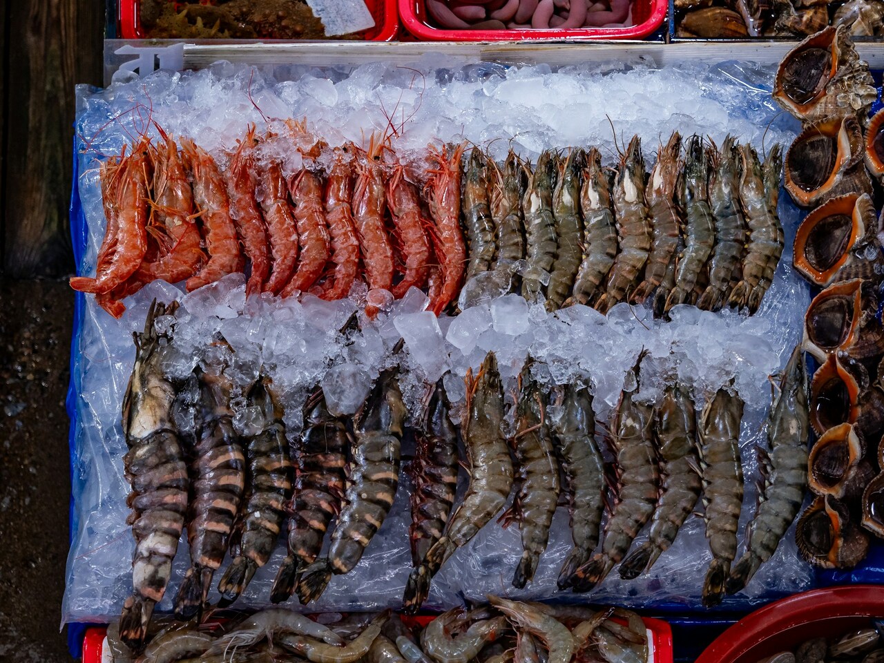 The Ultimate Guide to Buying and Grilling Shrimp