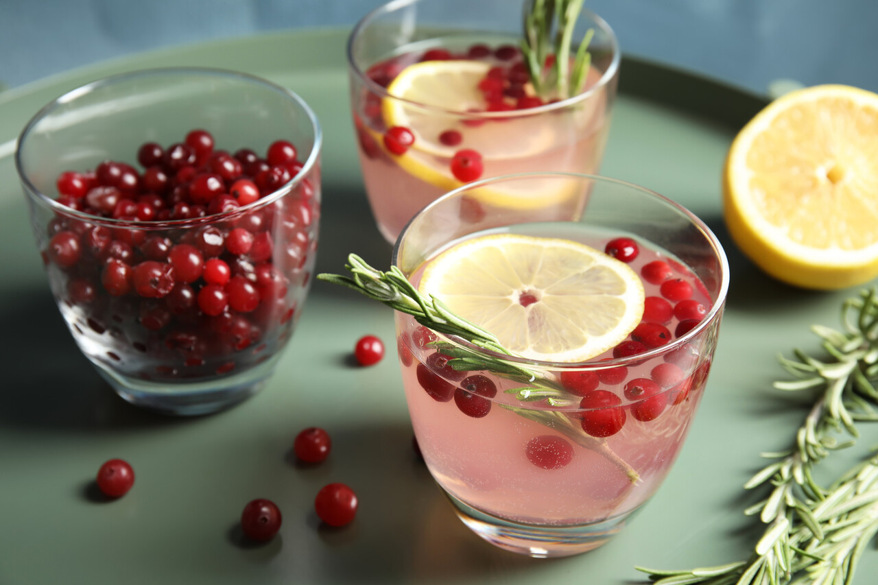 Cranberry Vodka Sour Recipes Perfect for Holiday Parties