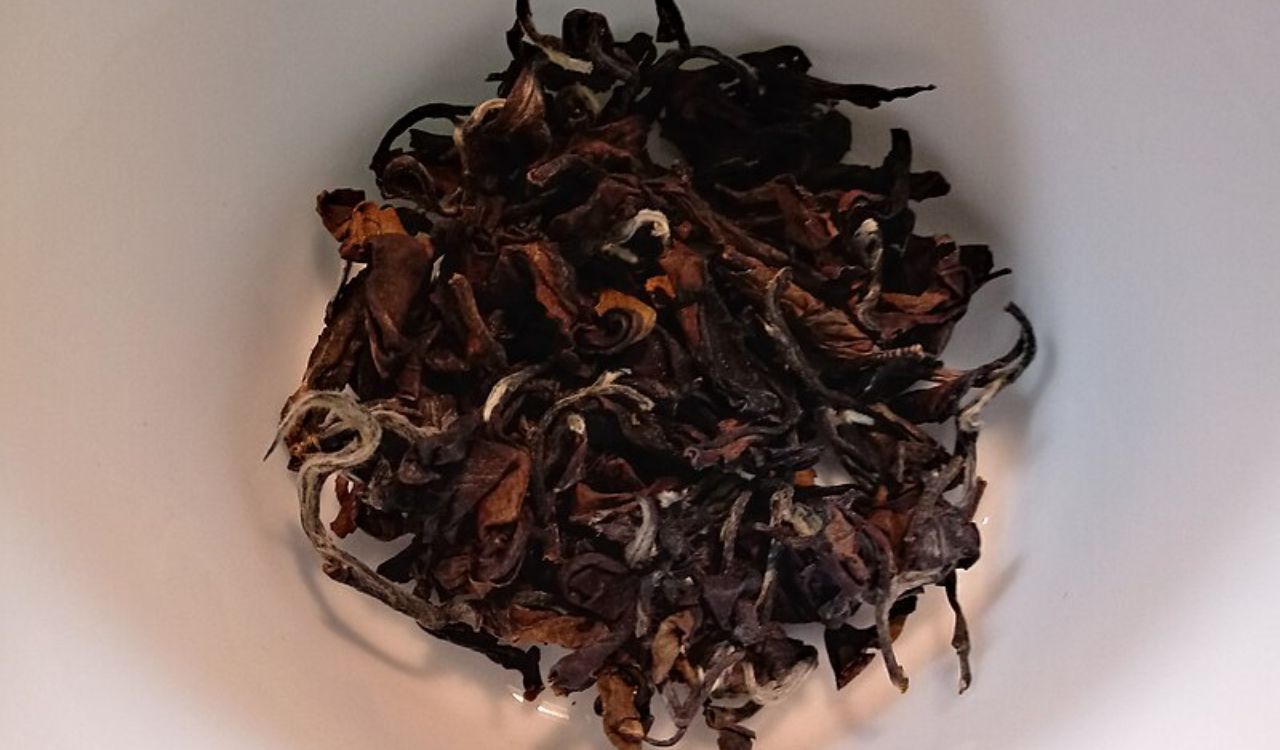 Bai Hao Oolong
