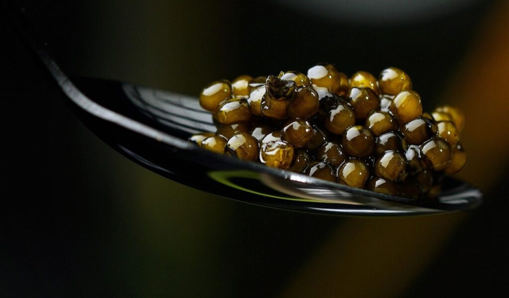 Caviar