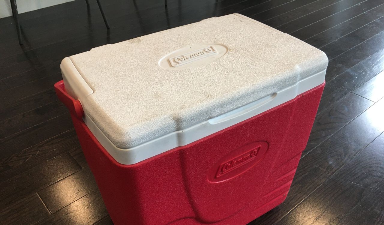 Cooler