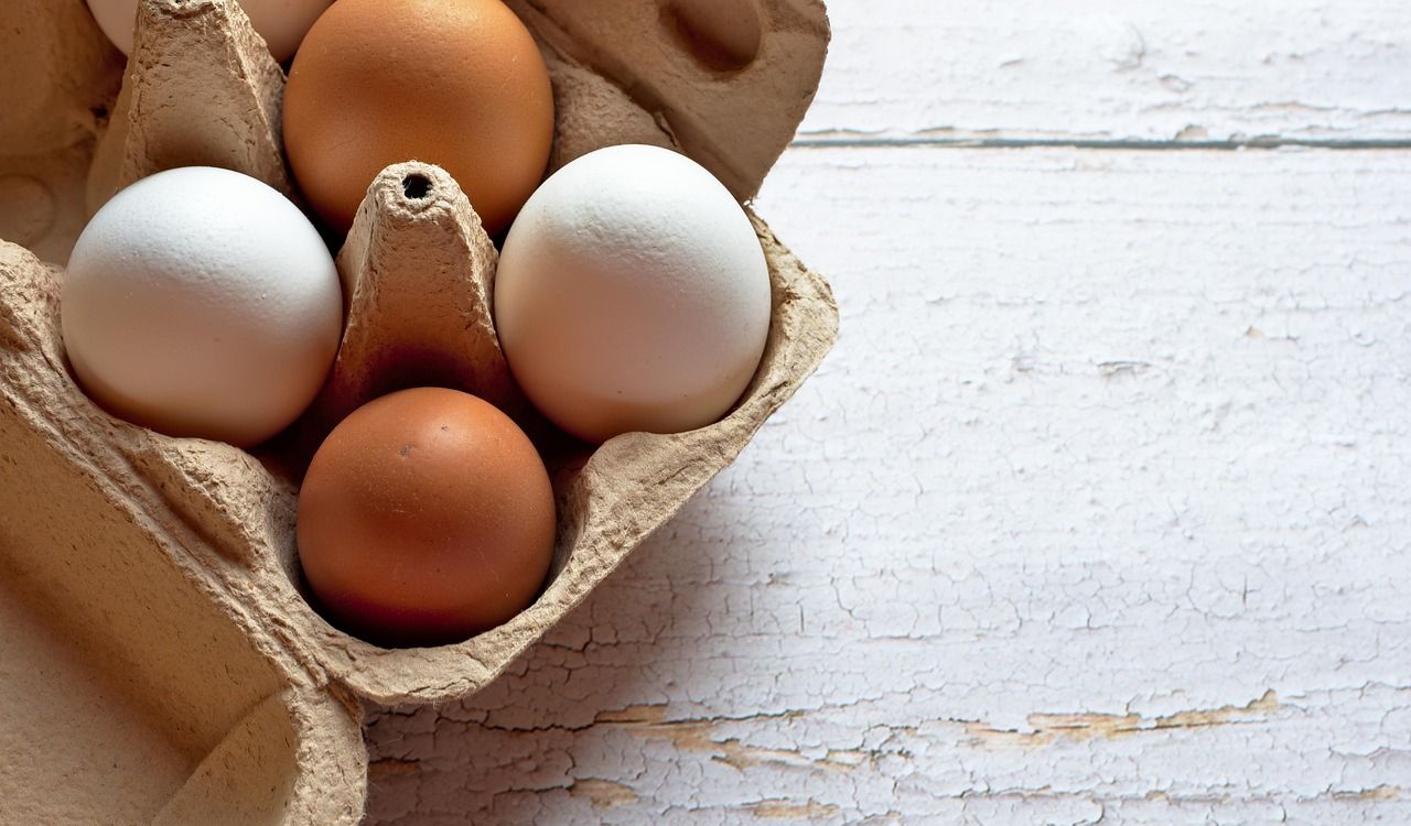 Eggs