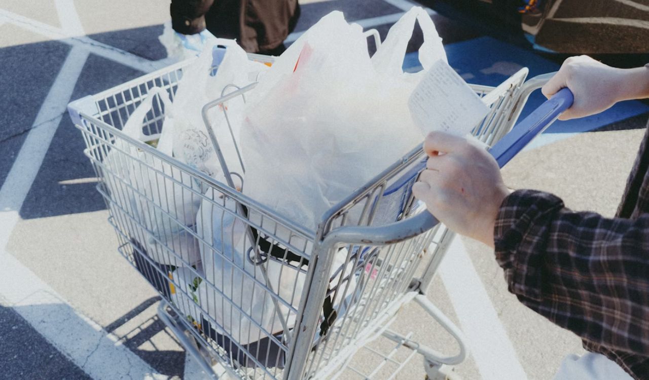 Full grocery cart
