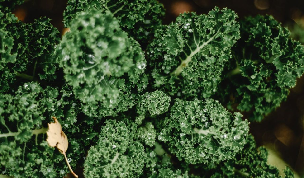 Kale