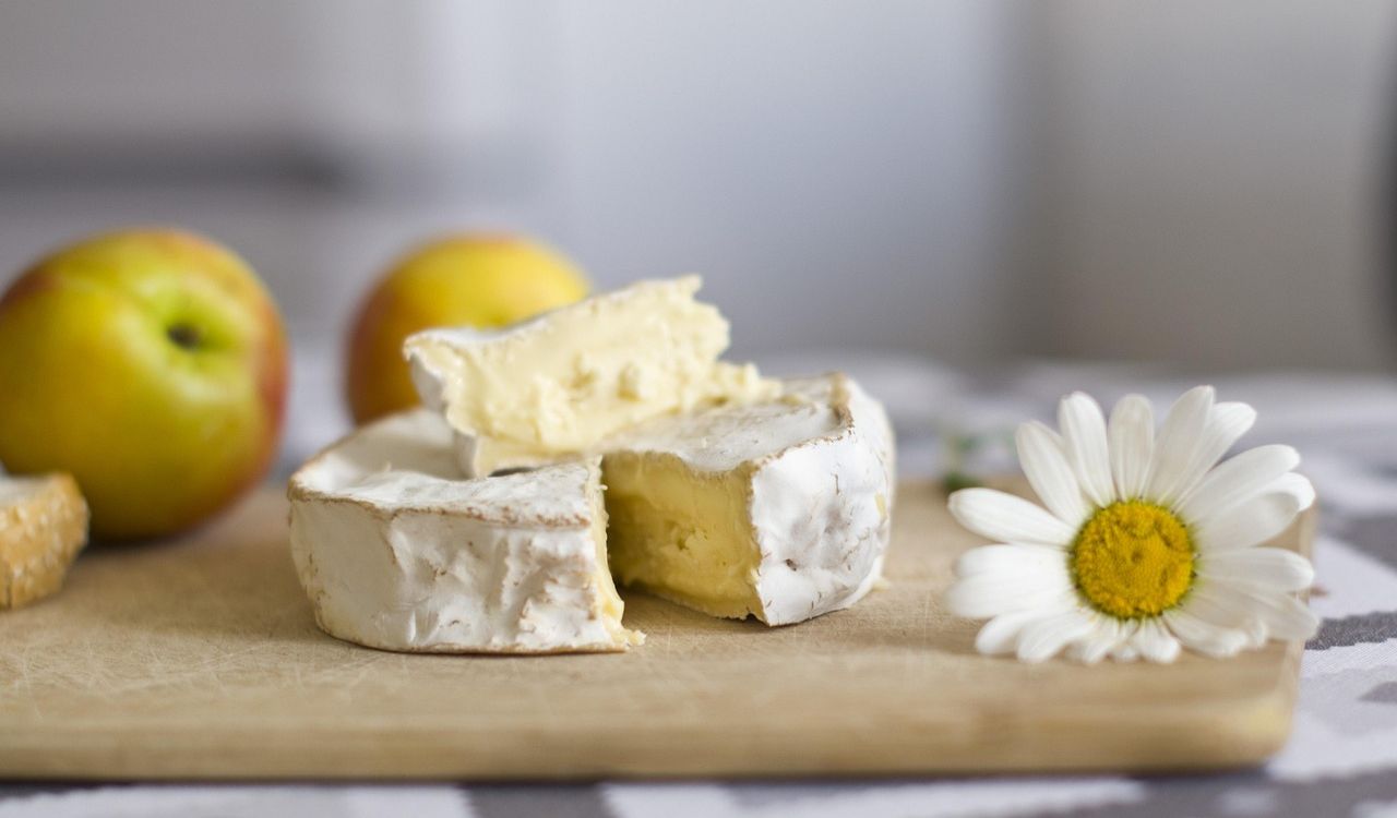 Moose cheese