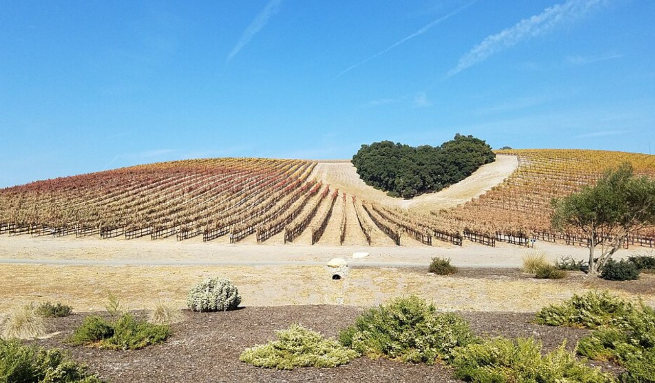 Paso Robles, California