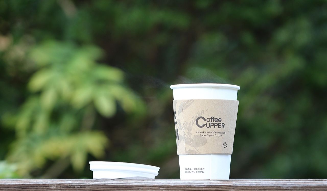 Plastic-Coated Paper Cups