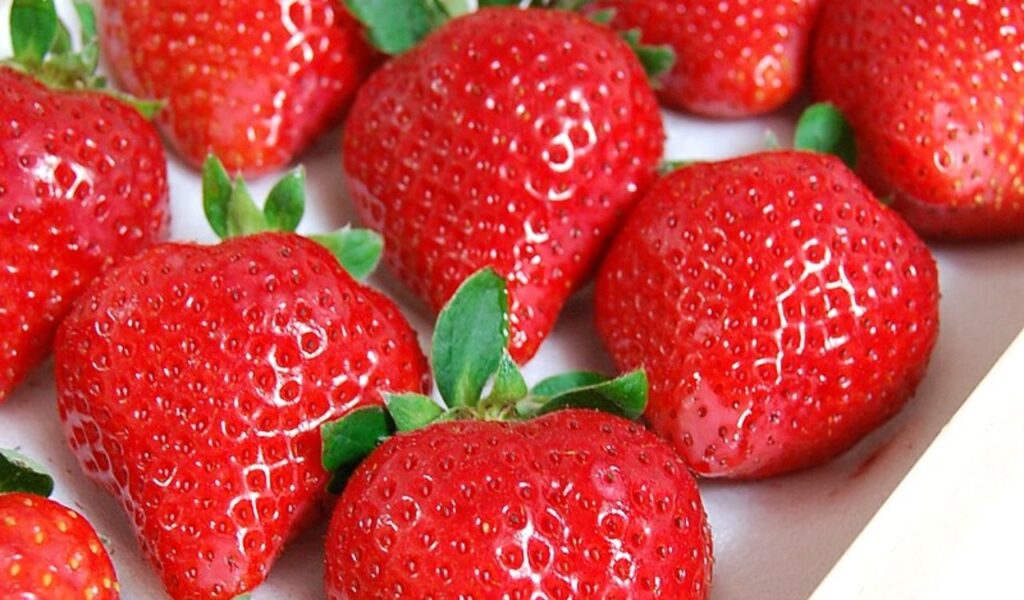 Sembikiya Queen Strawberries