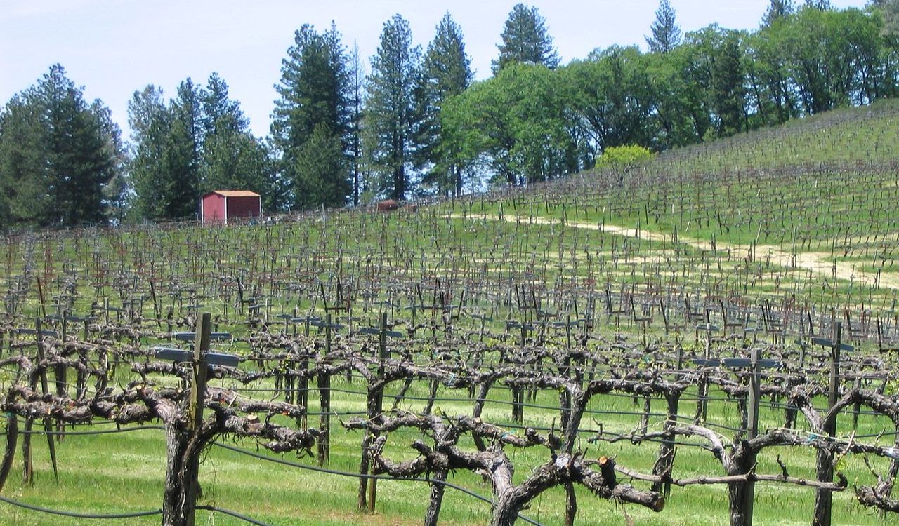 Sierra Foothills Vineyards