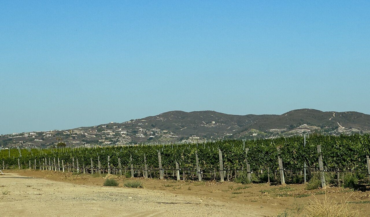 Temecula Wine Country