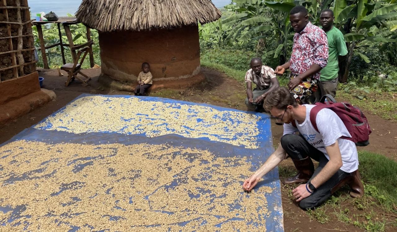 Uganda Coffee