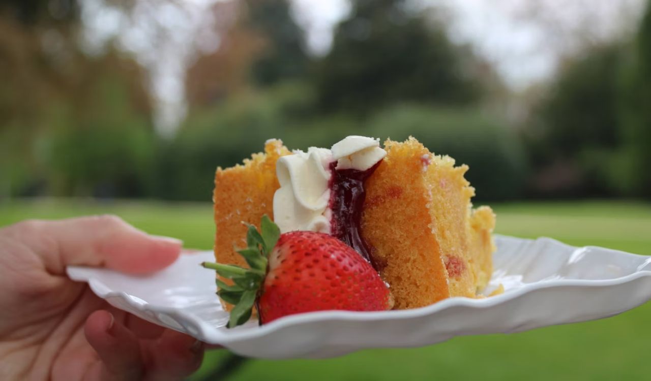 Victoria sponge cake slice