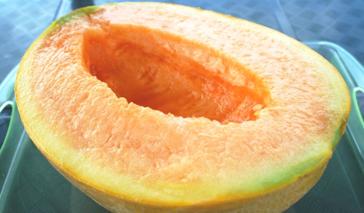 Yubari King Melon