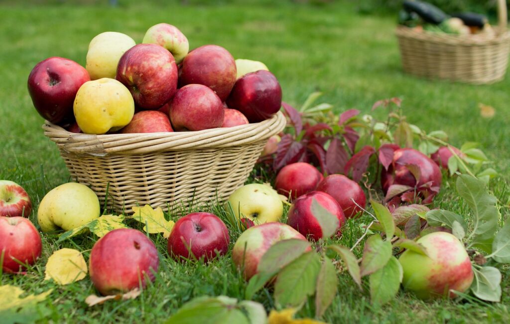Apple Varieties