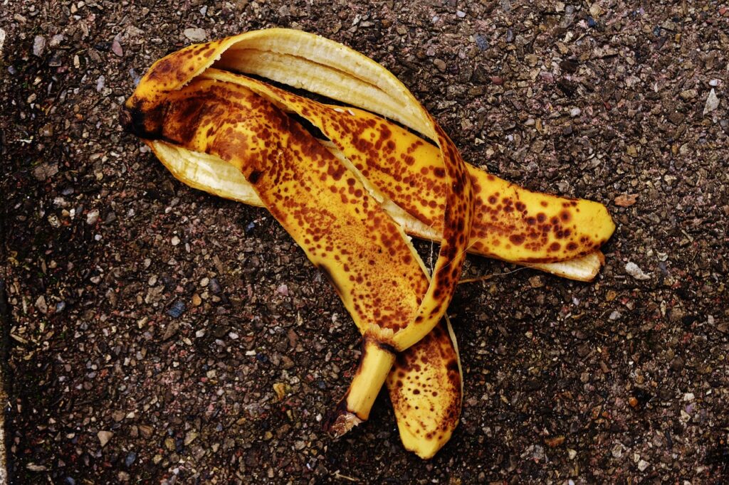 A single banana peel lying on a forest trail, sunlight filtering through trees.