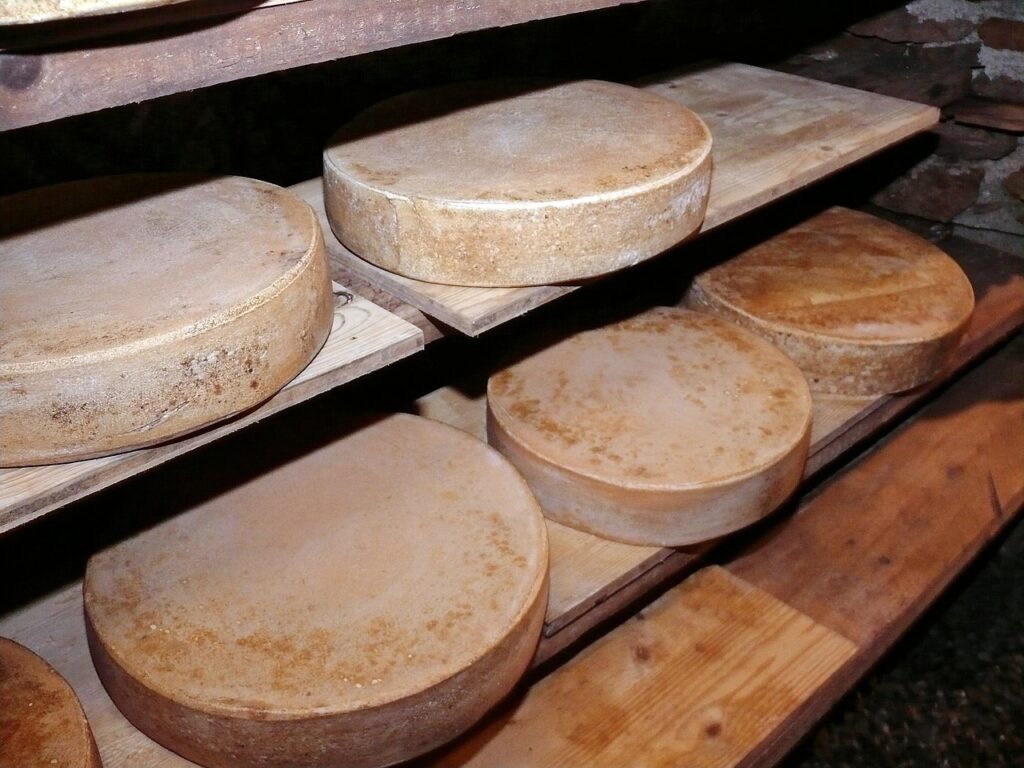 Hard Cheeses