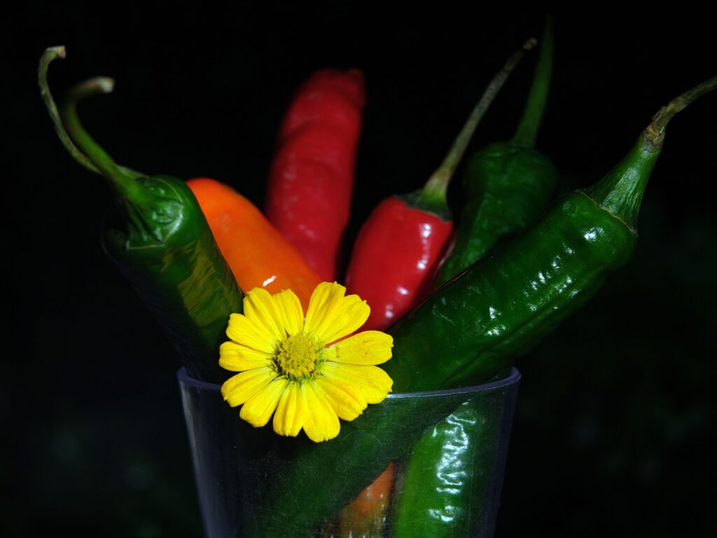 Chili Peppers: The Fire of Attraction