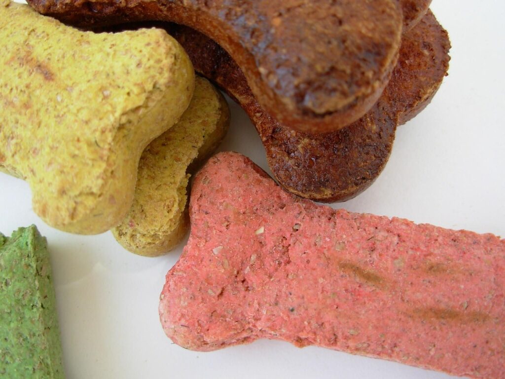 Bake Pumpkin Dog Treats