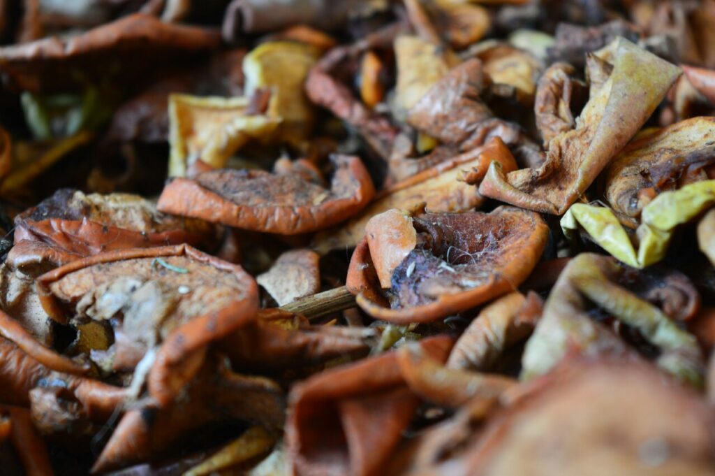 Compost pile with visible fruit scraps