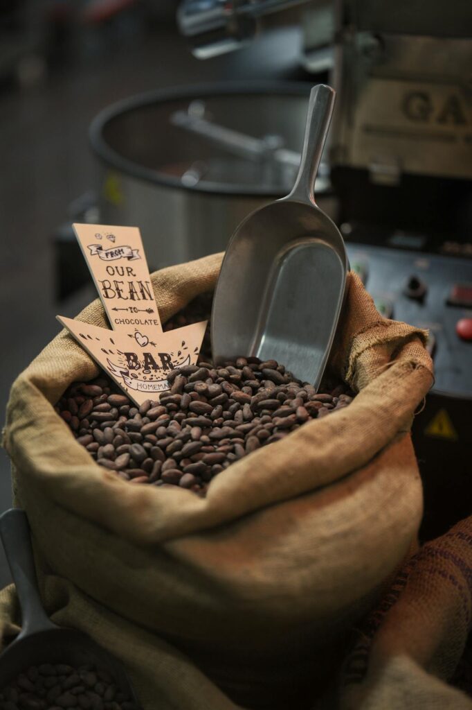 Fresh farm produce, coffee beans, or eco-friendly packaging used in-store.