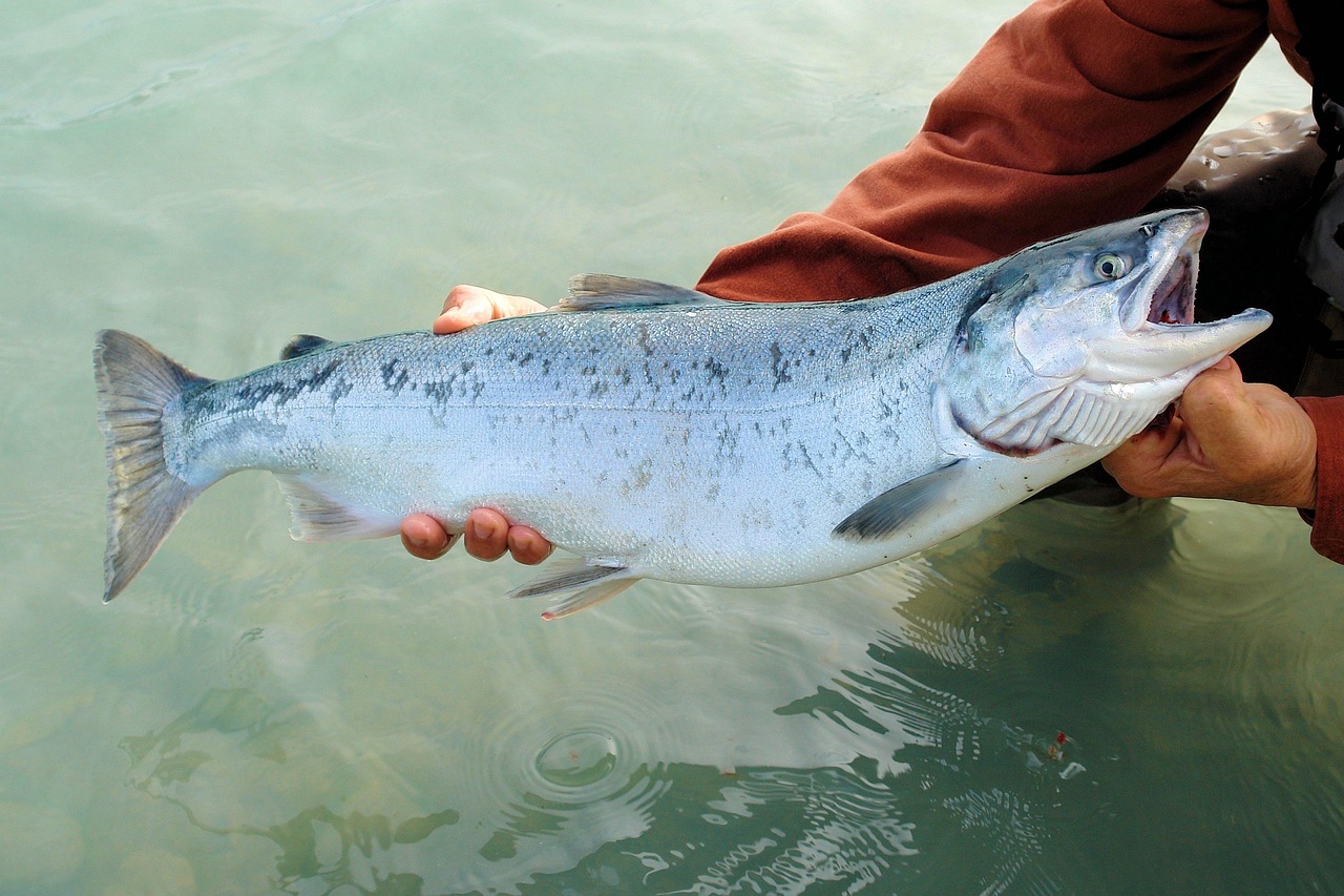 10 US States That Eat the Most Fish Every Year