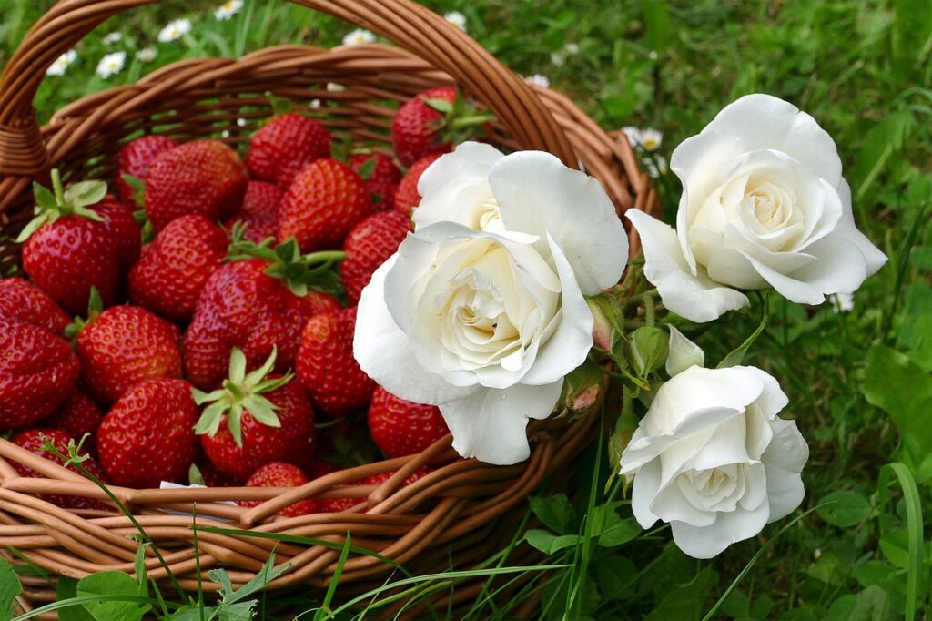 Strawberries: Sweetness and Seduction