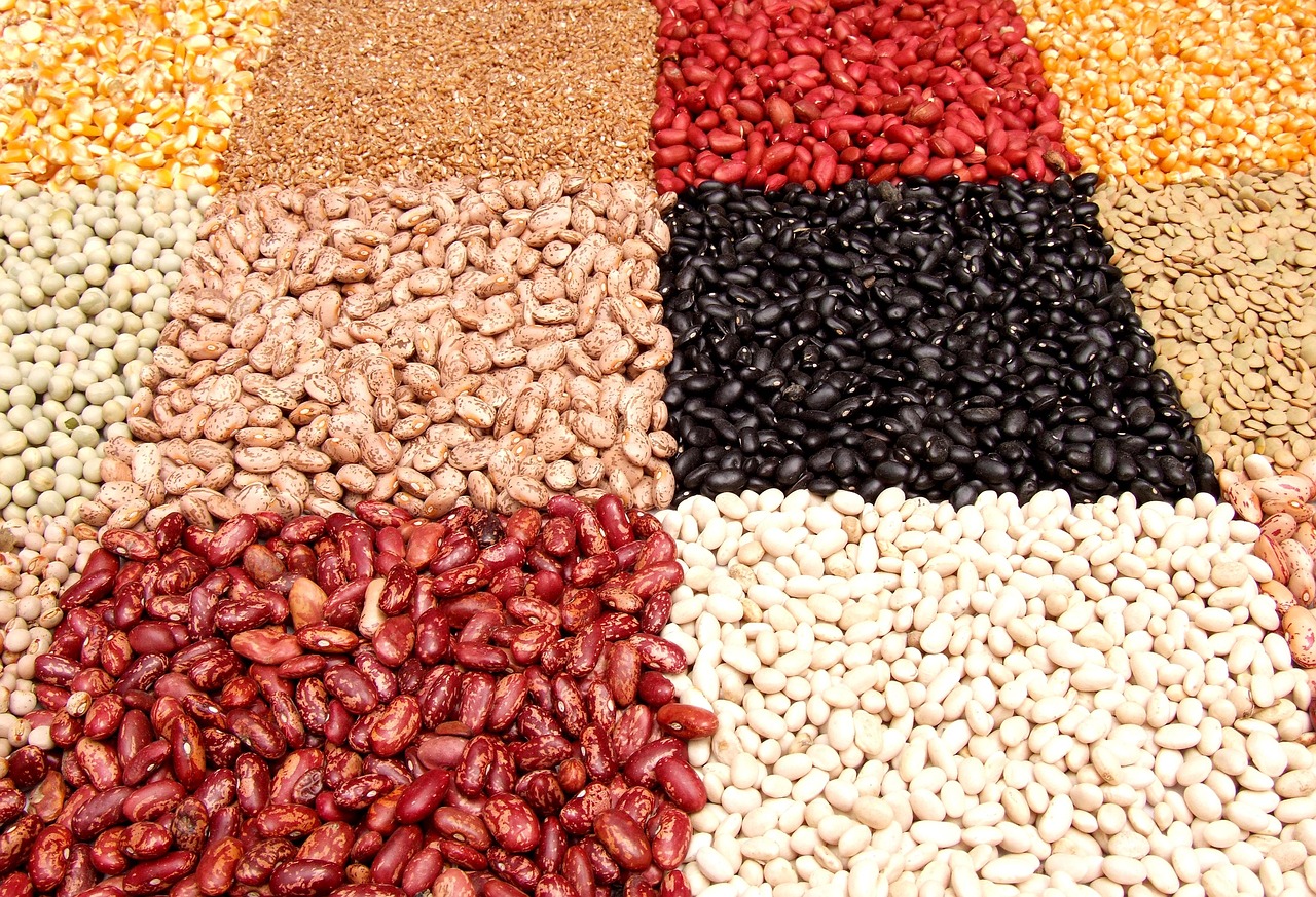 Dried Beans and Lentils