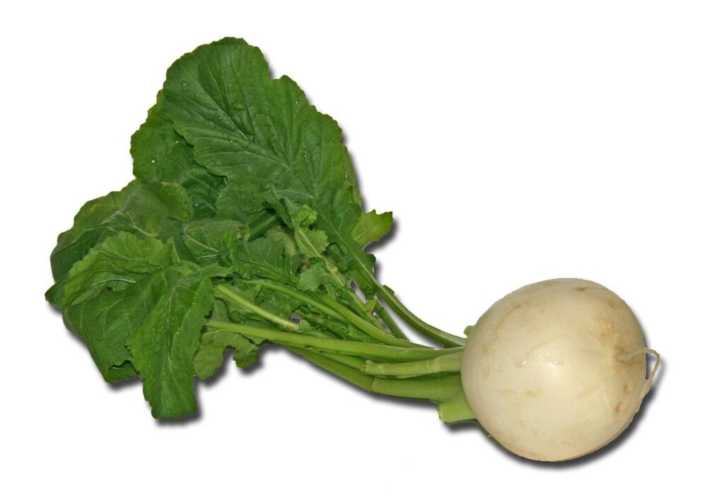 Turnips