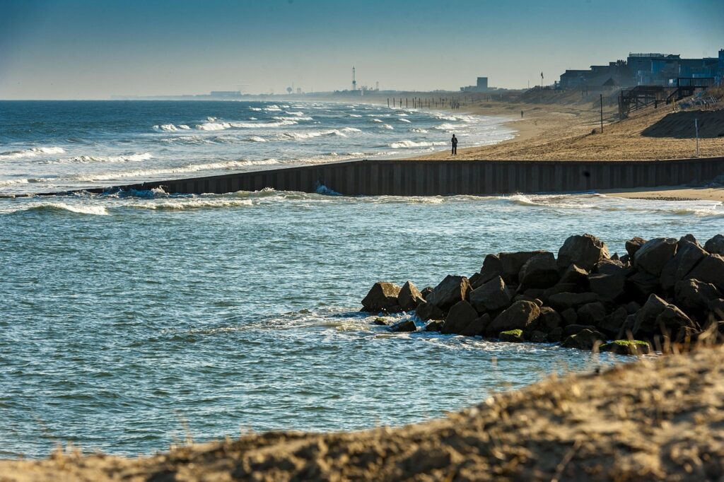Virginia beach, Southeast virginia, Nature image