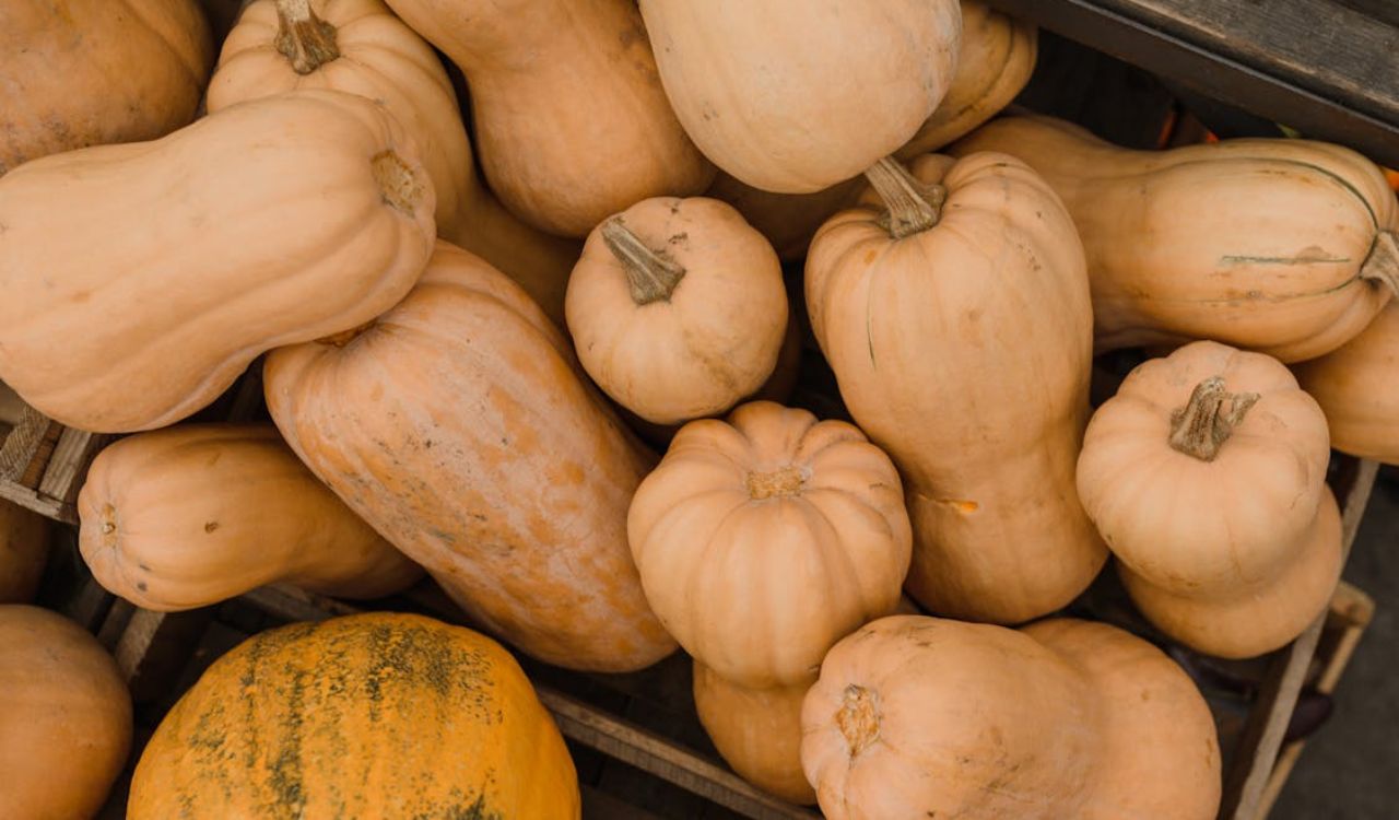 Butternut squash in a crate