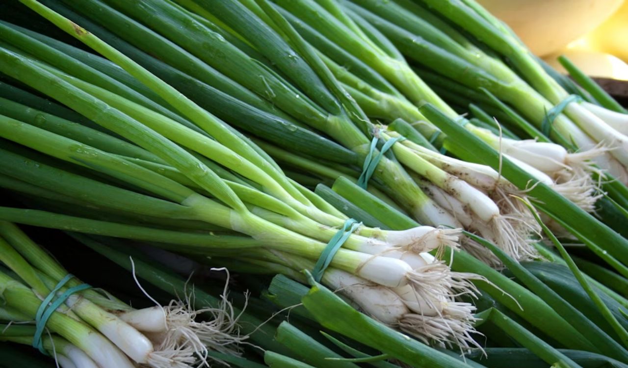 Green onions
