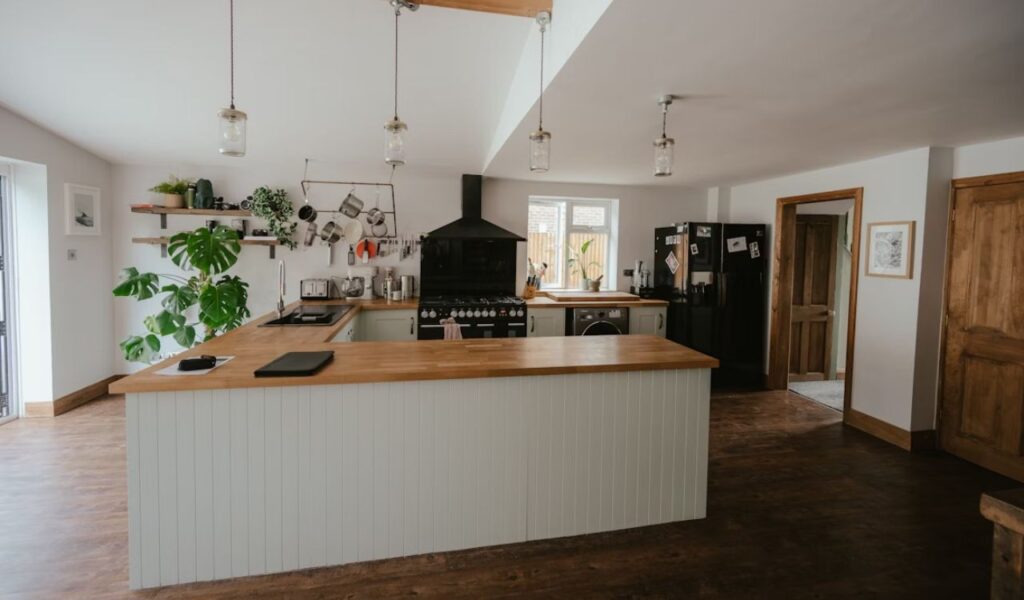 Indoor Plants kitchen