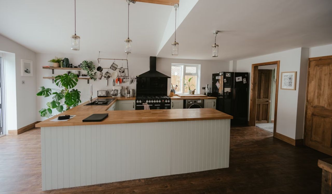 Indoor Plants kitchen